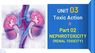 Toxicology | Unit 03 - Part 02 |  Nephrotoxicity