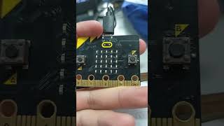 Hot potato MICRO BIT