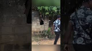 Bushman prank#usa #funnyvideos #funnymoments #bushman #scareprank