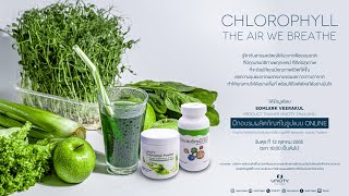 Training Chlorophyll The Air We Breathe