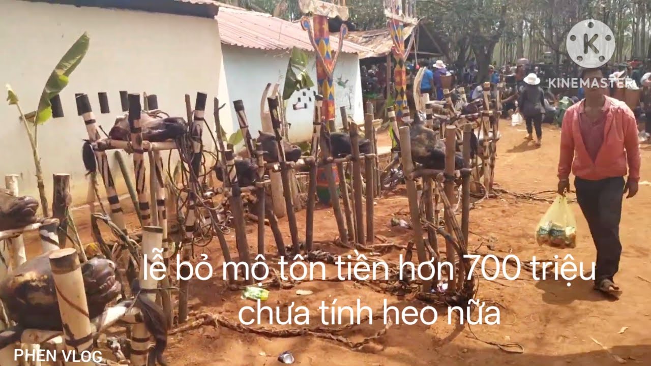 Церемония поклонения предкам в деревне Ла-Кро - 60 женщин (Бо) и более 200 мужчин (Хео) - P42