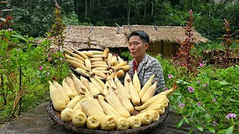 Harvest Boiled Sticky Corn to sell at the Market - Repair the Kitchen to Avoid Storm Bualoi