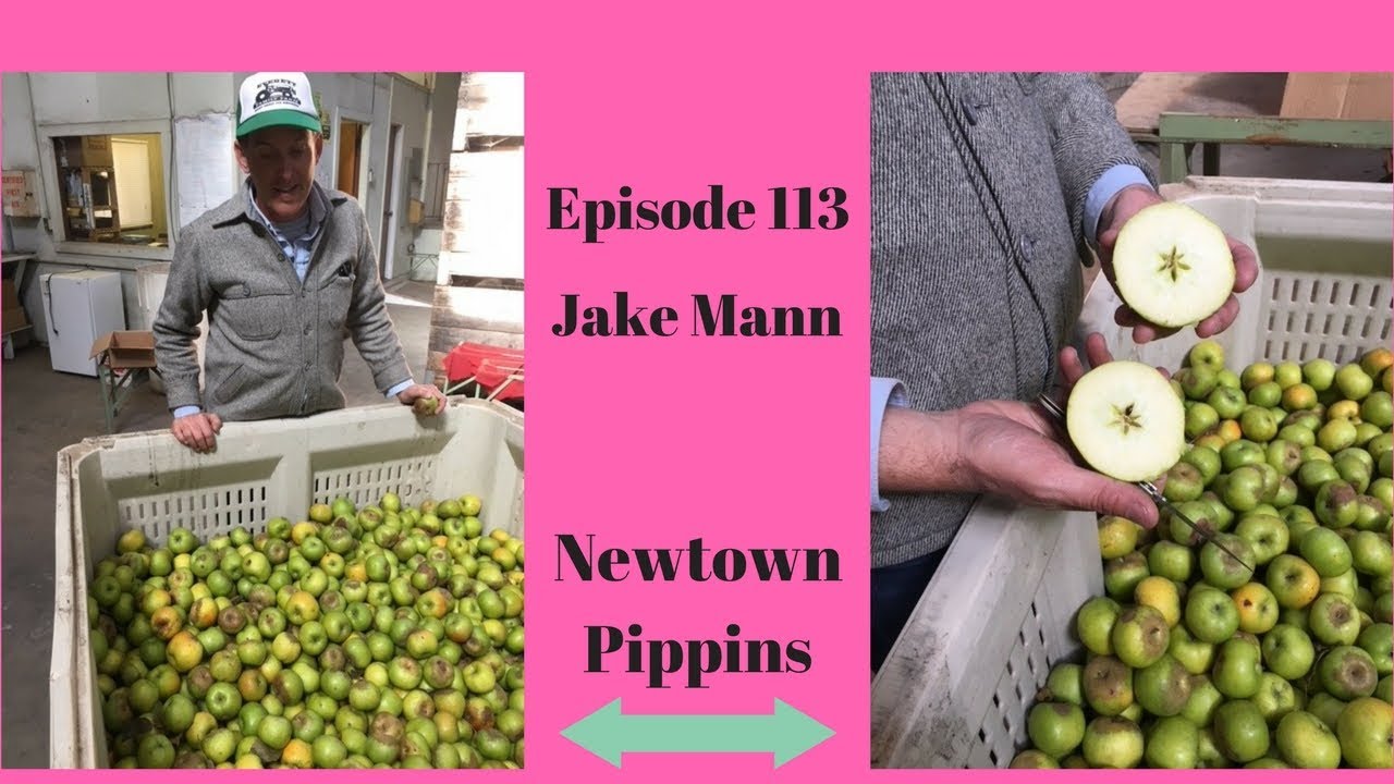 113: Jake Mann | Five Mile Orchard, CA
