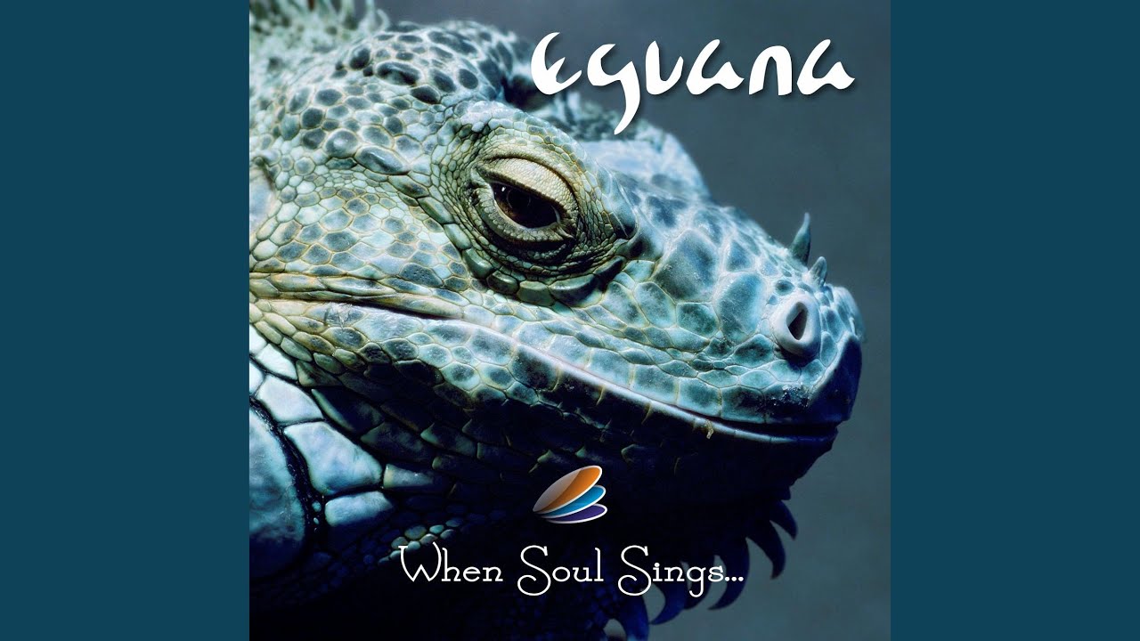 Watch Call You Back on YouTube Watch Call You Back on YouTube