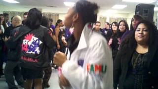 Sigma Lambda Gamma, FAMU Fall 2010