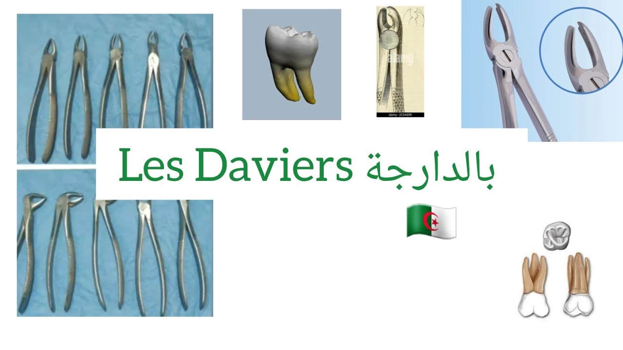 Les daviers dentaires بالدارجة 🦷