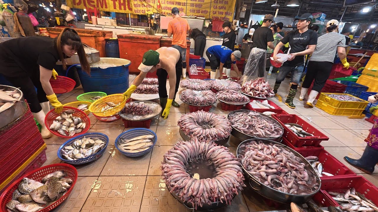 cá vô nước nhiều quá xổ rẻ luôn