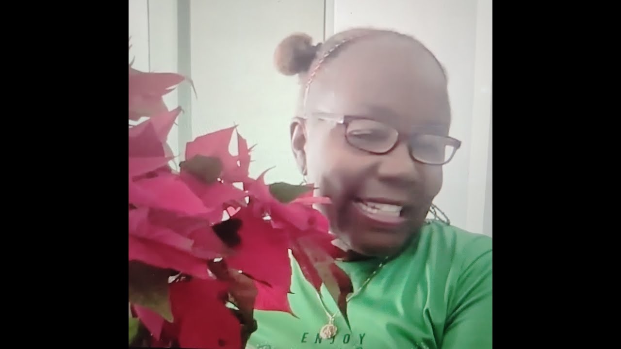 Vlogmas Day 20- Getting ready for Christmas