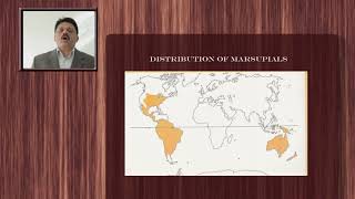 4 Classification of mammals 1