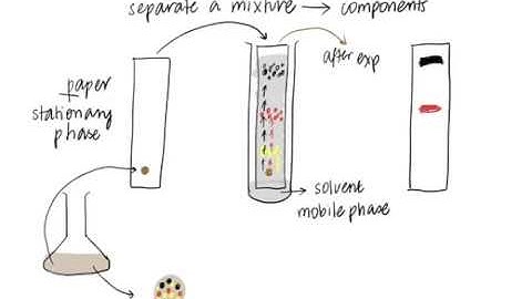 Principle of Paper Chromatography