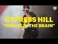 Miniature de la vidéo de la chanson Insane In The Brain