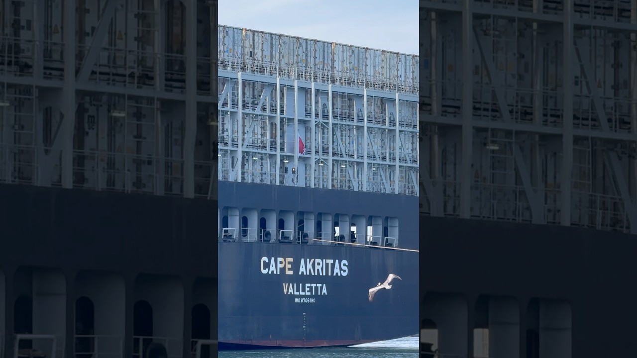 MSC Containers