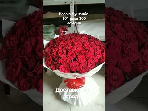 роза в Душанбе 101шт роза всего лишь 300 сомони