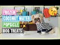 Frozen Coconut Water Dog Treats | Fruit Popsicles for Dogs
