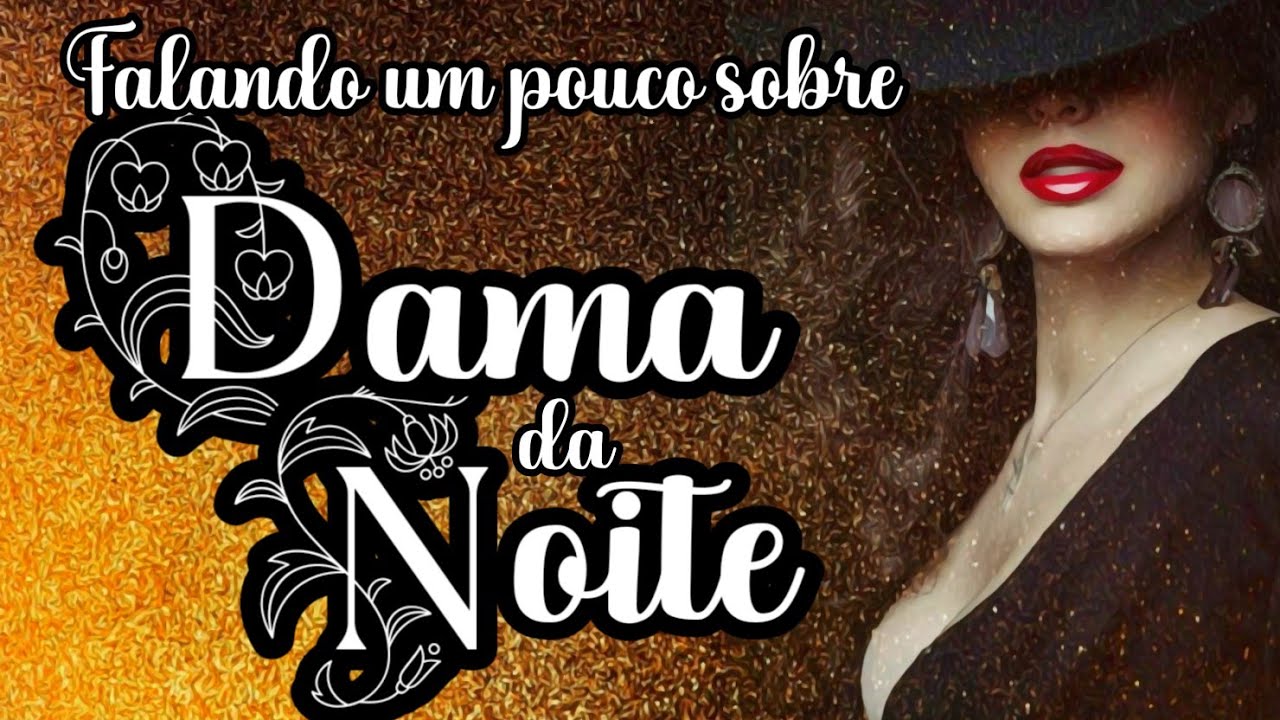 Falando um pouco sobre DAMA DA NOITE
