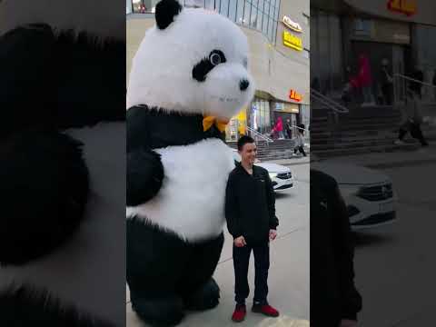 В нашей берлоге пополнение - Панда 🐼 #белыймедведь #shorts #сюрприз #самара #панда