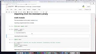 Famous 005b Using the input statement Wealth