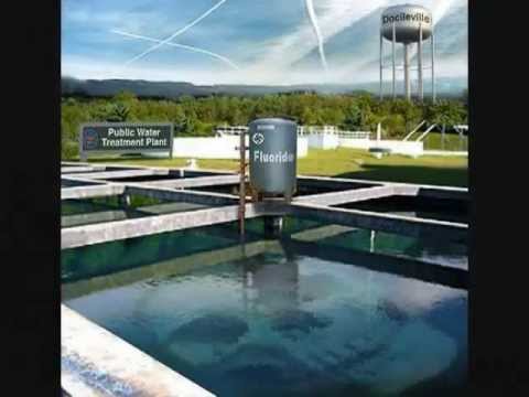 The Bizarre History Of Fluoride camera iphone 8 plus apk