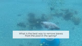 What is the best way to remove leaves from the pool in the spring
