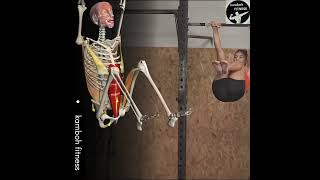 Hip Flexion with Posterior Pelvic Tilt(PPT)Hip Flexion with PPT is an Profile