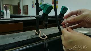 How to Prepare a Visking Tubing