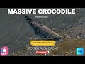 Massive Crocodile Spotted from Drone | Incredible River Footage