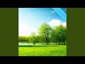 A Beautiful Time Together Nature Ver 