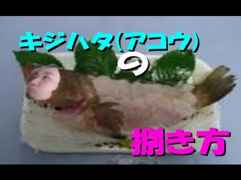 キジハタ アコウ の捌き方講座 釣りたて高級魚刺身にして絶品 てんぷらマックcooking Youtube