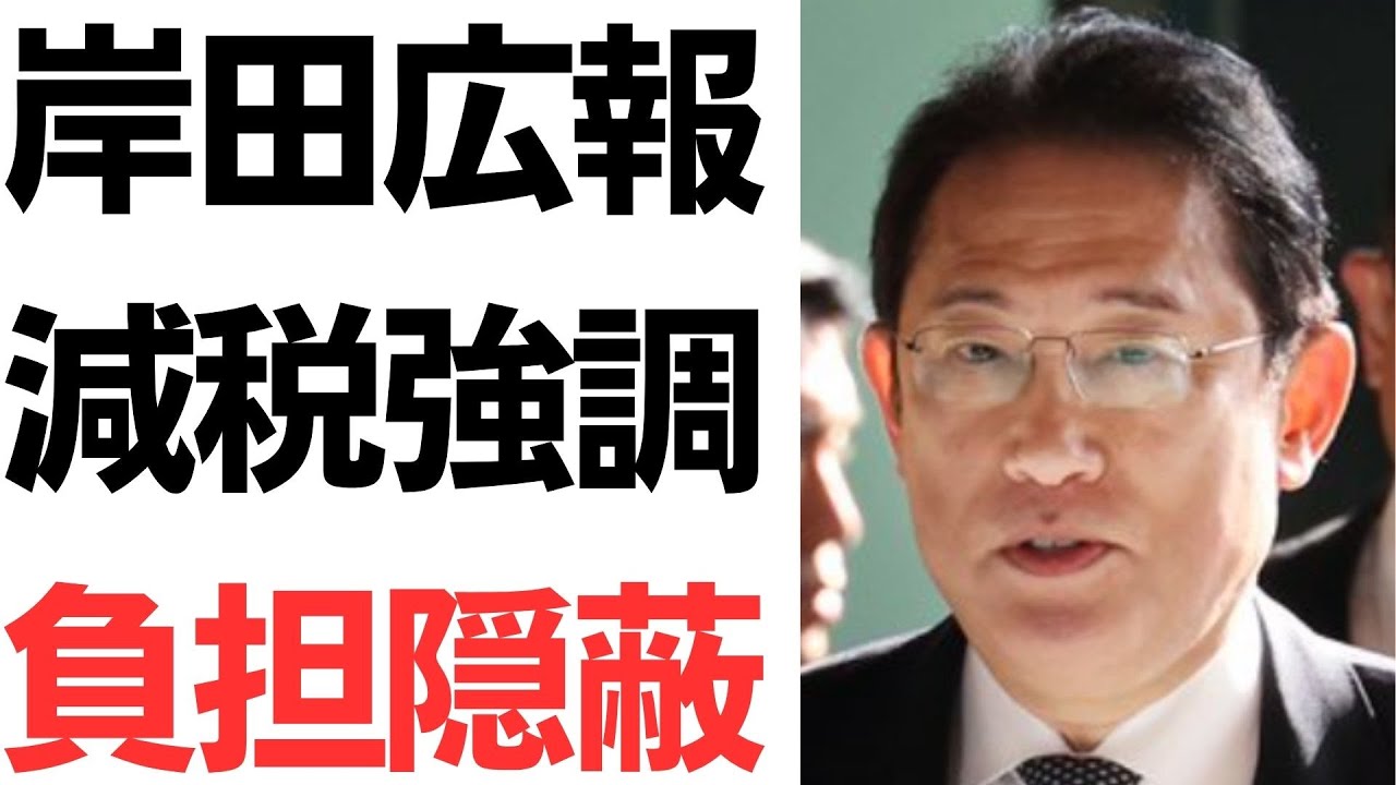 定額減税と森林環境税・子育て支援金などの負担を扱う動画のサムネイル