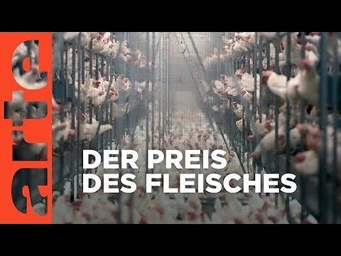 Tierleid vom Fließband - ARTE Doku
