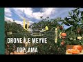 Tarımsal Drone | Meyve Toplar Mı ?