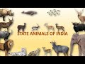 State Animals of India 🇮🇳 | Animals | Indian Animals