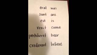 CC cycle 3 week 4 Latin
