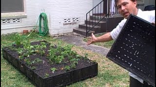 How To Build A Free Plastic Crate Raised Bed Garden