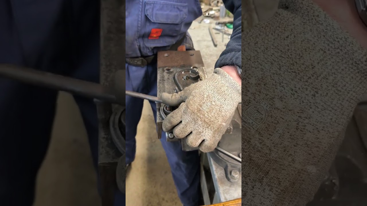 20 февраля 2026 г.