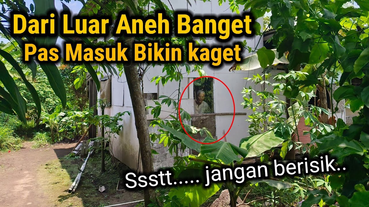 MUSTAHIL PERCAYA!! TAPI ORANG INI BERTAHAN HIDUP 100 HARI DI DALAM HUTAN