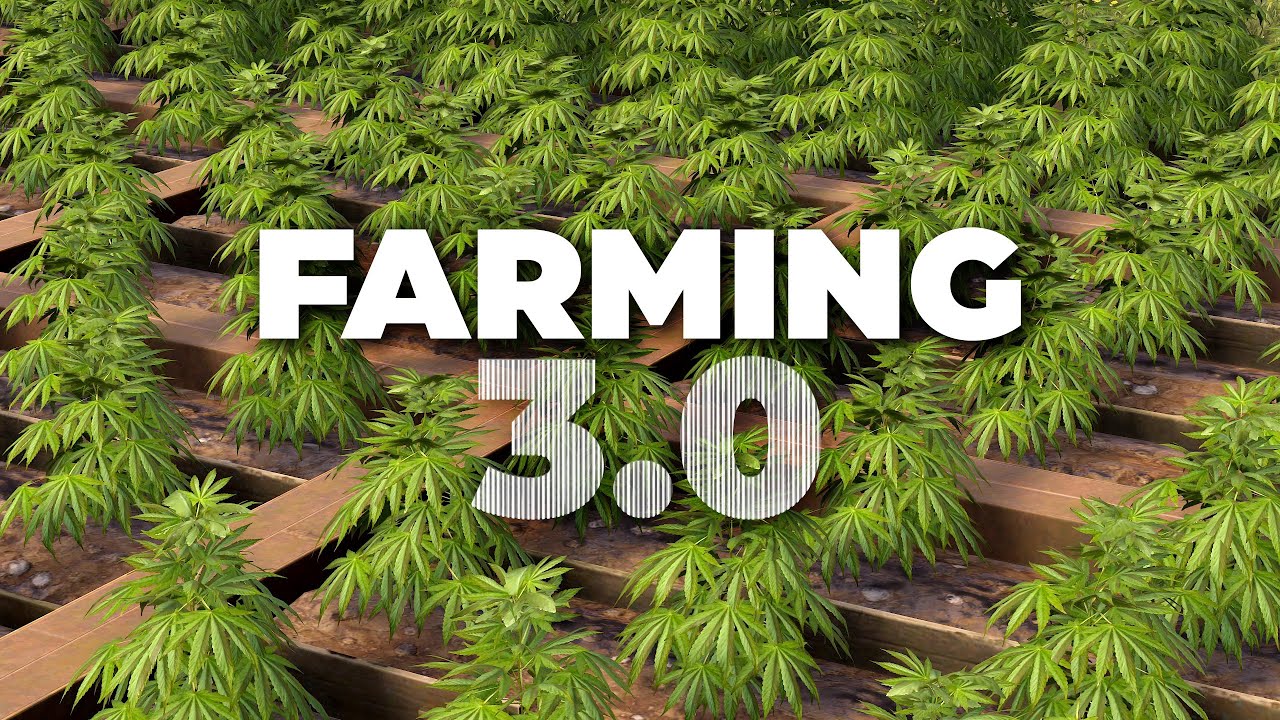 FARMING 3.0 — ULTIMATE GUIDE / Best Genes, Egg and Honey farm in Rust ...