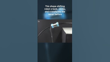 Soft robots master crawling, climbing, and shape-shifting with one air input #robotics