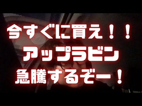【米国株投資】大予言します。アップラビン（APP）は今夜が買い場！決算はどうだ⁉︎