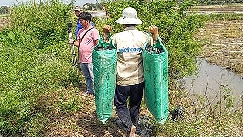 XÁNG CẠP SỬA LẠI BỜ ĐÊ - ĐẤT PHƯƠNG NAM - MÁY XÚC MIỀN TÂY