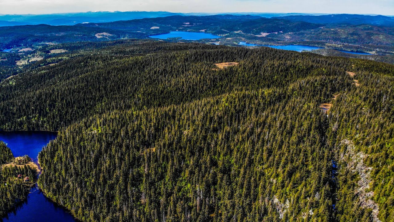 Til Oppkuven i Nordmarka, 704 moh 1  juni 2020