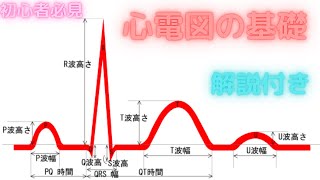 初心者必見。心電図の基礎　解説付き　危険な心電図等