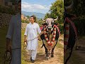 Imran Khan Eid Mubarak 🐂❤️ | Biggest Qurbani Bull Walk | Emotional Eid Short