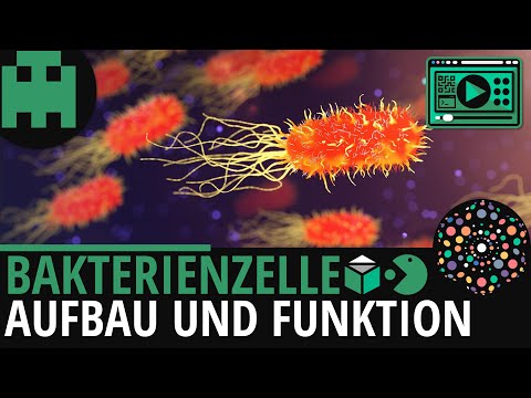 Video: Zusammenbau Von Hunderten Neuartiger Bakteriengenome Aus Dem Hühner-Caecum