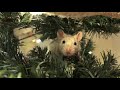 RAT CHRISTMAS!