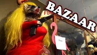 Bazaar Curious Gifts - A DIVINE Racoon - Only in BALTIMORE Oddity Shop!!!