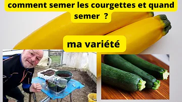 Comment reconnaître une courgette ?