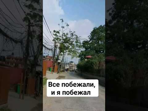 Все побежали, и я побежал! под гениальную музыку Геннадия Гладкова