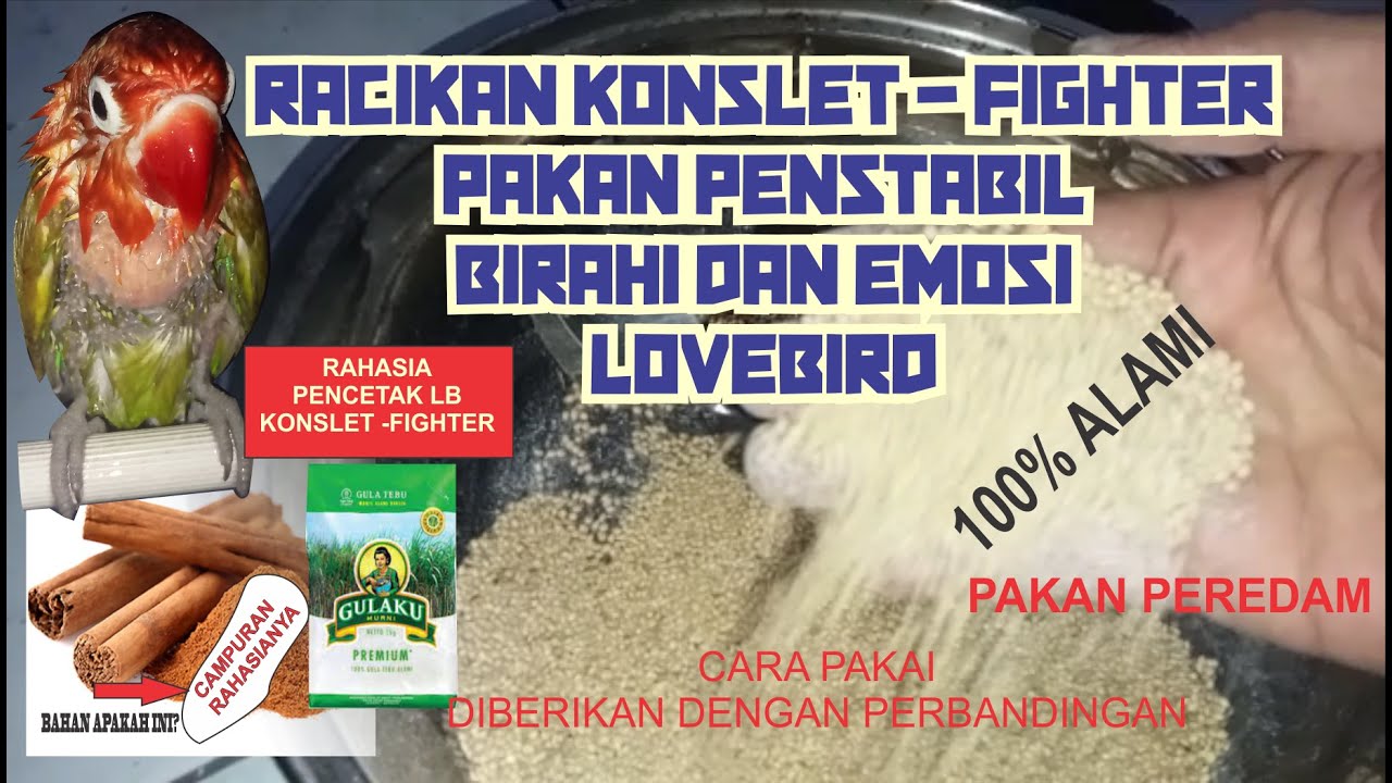 CARA MEMBUAT PAKAN LOVEBIRD KONSLET DAN FIGHTER GACOR, JAMU  PENSTABIL EMOSI DAN BIRAHI LOVEBIRD