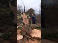 husqvarna #chainsaw #motosierra